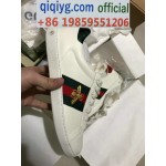 qiqiyg.com Official Whatsapp:+8619859551206 Hotsale 2026 Glasses Belts Underwear Y4029