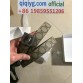 qiqiyg.com Official Whatsapp:+8619859551206 Hotsale 2026 Glasses Belts Underwear Y4281